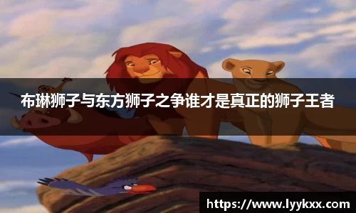 南宫28